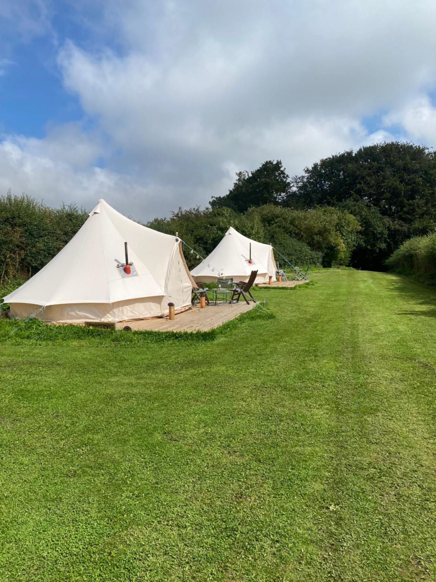 Roe Deer Meadow At Carr House Farm Hotell Scarborough Eksteriør bilde